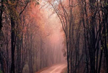 极速体育：1.1亿天价合同！曝阿诺德加盟皇马5年4000万欧，签字费7000万欧元.