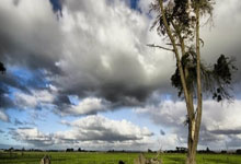 极速体育：帕利尼亚：我没有考虑过离开拜仁，我已经准备好.