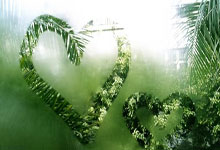 浙江湖州国际红土网球中心正式启用.